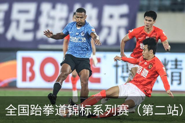全国跆拳道锦标系列赛（第二站）第三日 冀晋浙苏各得一金