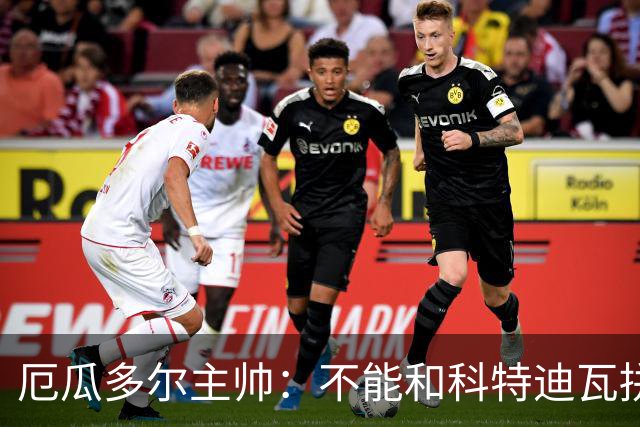 厄瓜多尔主帅：不能和科特迪瓦拼对抗得另寻他法 我们充满了信心