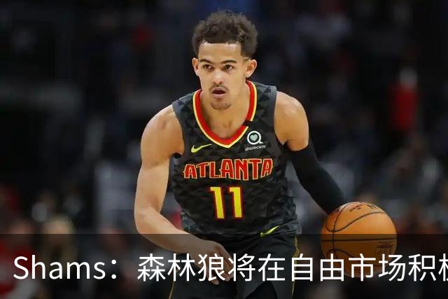 Shams：森林狼将在自由市场积极补强4号位 但他们只能提供底薪